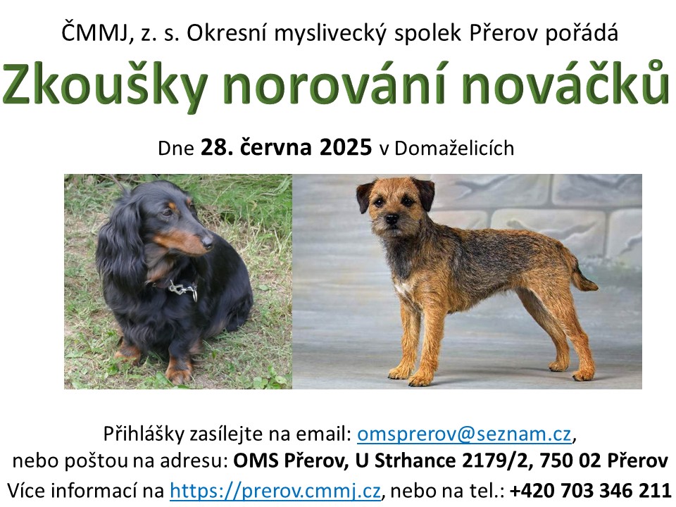 Zkoušky norování nováčků 28.6.2025 Domaželice